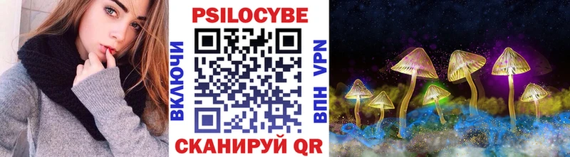 цены наркотик  Семёнов  Псилоцибиновые грибы Psilocybine cubensis 